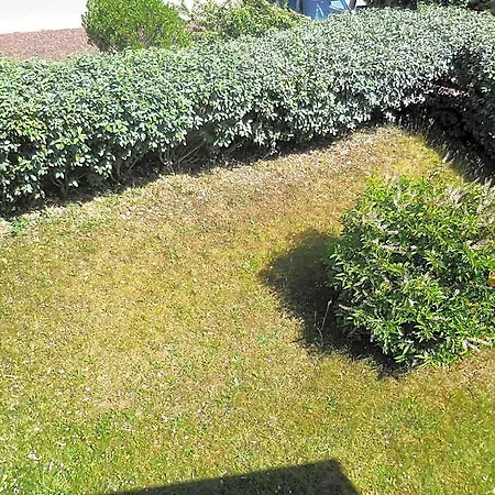 Au Pied Des Dunes *